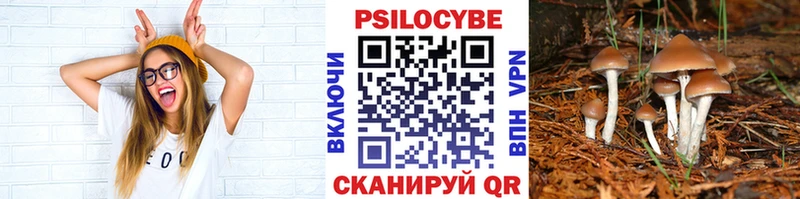 Галлюциногенные грибы Magic Shrooms  Купить где  Жердевка 