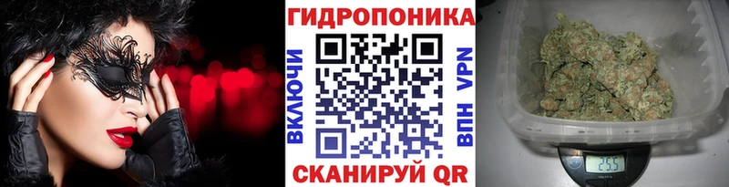 Купить где  Жердевка  Канабис OG Kush 
